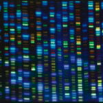 Studies test whether gene-editing can fix high cholesterol. For now, take your medicine