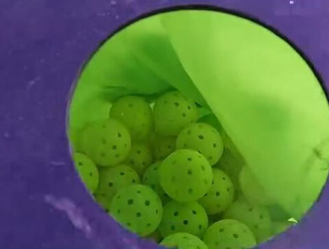 Pickleball waste is a problem on the Gulf Coast; 2 entrepreneurs may have a solution