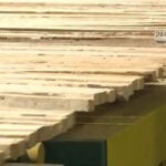 Inside a high-tech sawmill powering the state’s forest economy