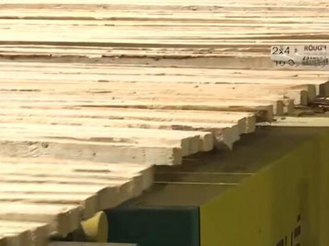 Inside a high-tech sawmill powering the state’s forest economy