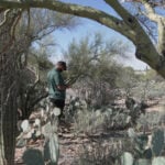 Few leads in Guthrie investigation after 11 days, yet cases often break unexpectedly