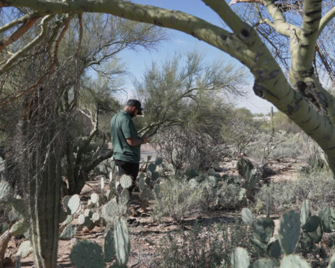 Few leads in Guthrie investigation after 11 days, yet cases often break unexpectedly