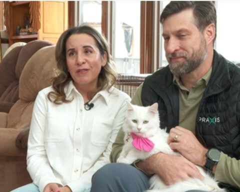 Program reunites veteran with stray cat she met while deployed