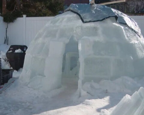 Boston friends build backyard igloo with millions watching progress on Instagram