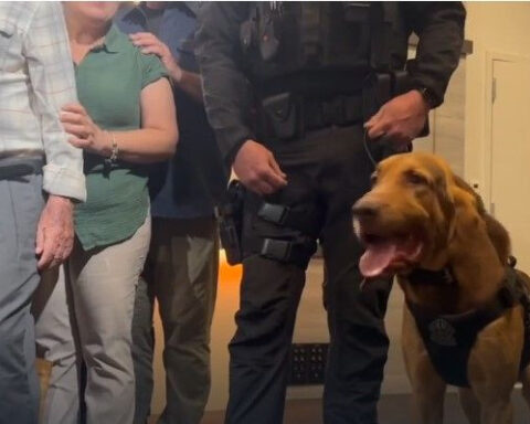 Missing 79-year-old reunited with K9 who found him