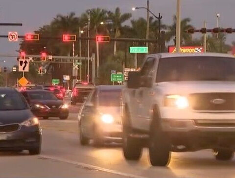 Woman allegedly requests burger, fries after being accused of stolen car chase, DUI in Florida