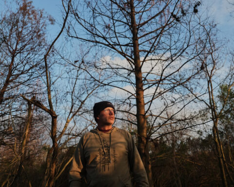 What can toughen Louisiana coast against worsening storms? 4 years and 30,000 trees