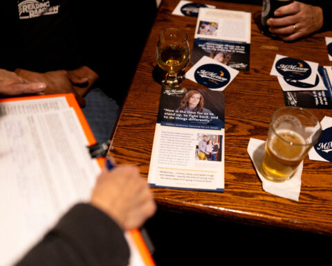 In battleground Michigan, 3 Democrats test vision of affordability in the Senate primary