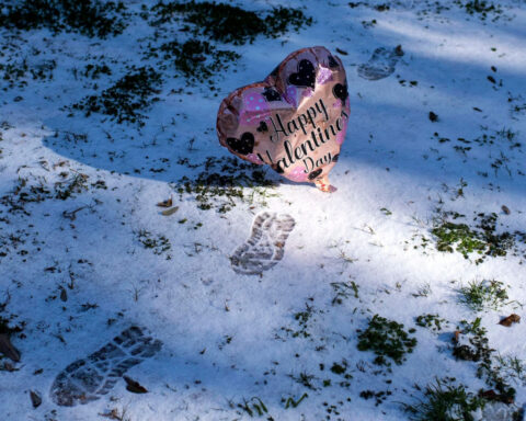 Do you think love stinks? These businesses have your Valentine’s Day figured out