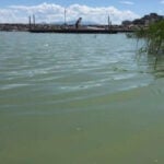 'Great Carp Hunt' returns to Utah Lake as fight against invasive fish persists