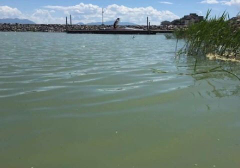 'Great Carp Hunt' returns to Utah Lake as fight against invasive fish persists