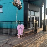 2 women killed, 2 others shot in early Sunday nightclub shooting in Kansas City, Missouri