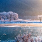 Warming winters are disrupting the hidden world of fungi – the result can shift mountain grasslands to scrub