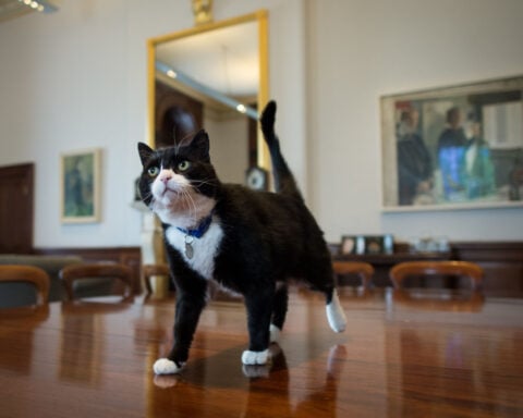 Palmerston, one of the UK’s top ‘diplocats,’ dies in Bermuda