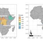 Coffee crops are dying from a fungus with species-jumping genes – researchers are ‘resurrecting’ their genomes to understand how and why