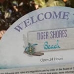 'Extremely alarming': Woman violently attacked by stranger on beach