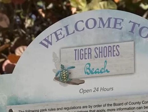 'Extremely alarming': Woman violently attacked by stranger on beach