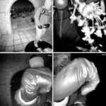 Police in Nancy Guthrie investigation say glove DNA didn't match anything in national database