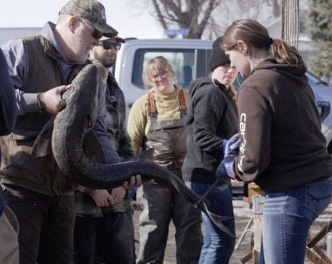 Sturgeon spearing season opens with 108-pound catch on Lake Winnebago