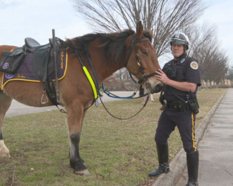 Meet the officer who stayed with patrol horses for 3 days after power went out in stable during ice storm