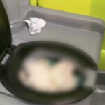 Porta potty problems by pier construction spark complaints