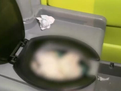 Porta potty problems by pier construction spark complaints