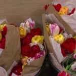 Beautiful blooms surprise Iowa cancer patients