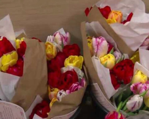 Beautiful blooms surprise Iowa cancer patients