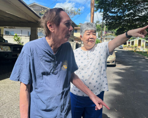 Hawaii residents sick of early crowing and aggressive pecking could be allowed to kill wild chickens
