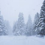 Skiers with roots in Lake Tahoe's alpine community among 8 killed in California avalanche