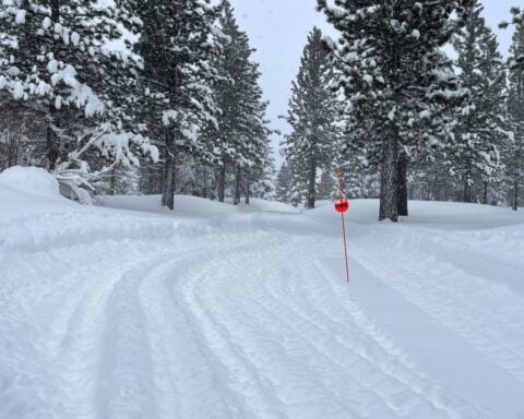 6 close friends on a backcountry ski trip identified as among those killed in devastating avalanche