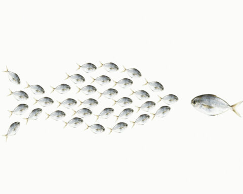 ‘Learning to be humble meant taming my need to stand out from the group’ – a humility scholar explains how he became more grounded