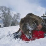 Do animals have a future on Hollywood sets?