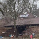 Over 60 cats and dogs rescued from home in Michigan, authorities say