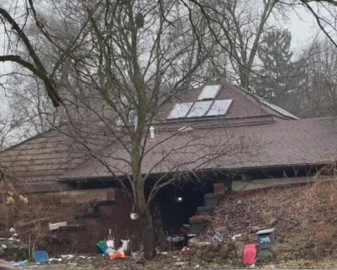 Over 60 cats and dogs rescued from home in Michigan, authorities say