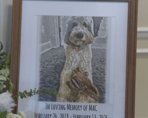 Beloved funeral home dog passes away after comforting thousands of grieving families