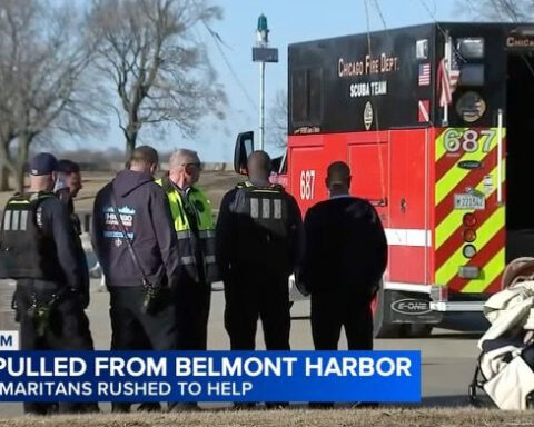 Gust of wind blows baby girl in stroller into Lake Michigan, man helps save child