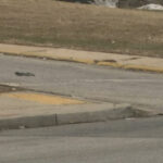 Boy hit by car while watching fight near school