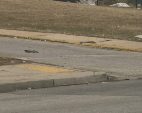 Boy hit by car while watching fight near school