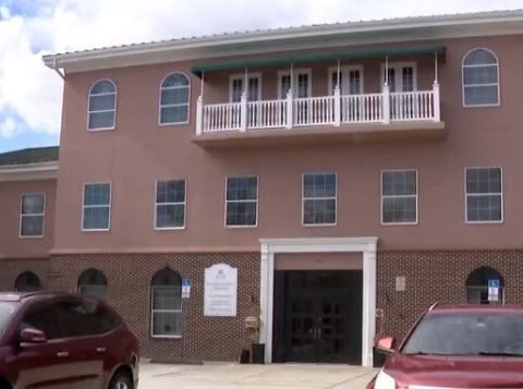 Couple searches for baby's biological parents after IVF mix-up