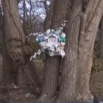 Family of woman who died after being picked up by garbage truck seeking answers