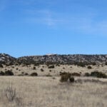 New Mexico reopens investigation into alleged illegal activity at Epstein's former Zorro Ranch