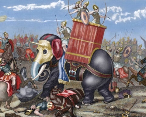 Ancient bone may be first physical evidence of Hannibal’s ‘war machine’ elephants in Western Europe
