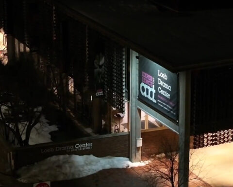 Black actress suing Harvard theater for race discrimination over scalp damage, hair loss: "The damage is indescribable. It is cataclysmic."