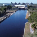 25 manatees reported dead in Florida waters since Friday