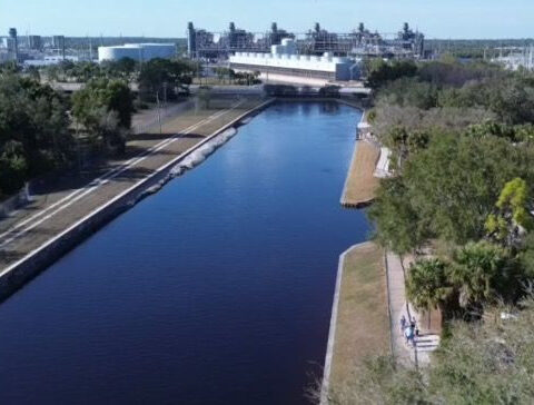 25 manatees reported dead in Florida waters since Friday