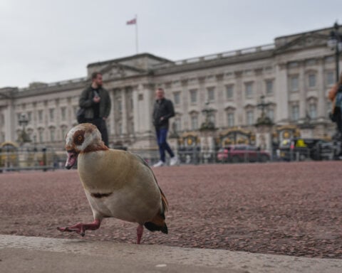 From abdication to Diana, Harry and ex-Prince Andrew. A look at major British royal scandals