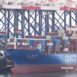 Supreme Court decision against Trump's tariffs raises uncertainty, but markets stay calm