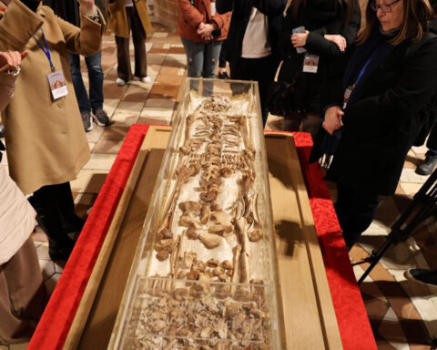 Skeleton of St. Francis of Assisi goes on public display for first time