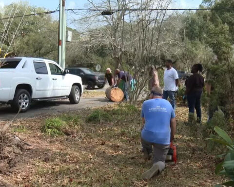 After a tornado destroyed the yard she loved for decades, strangers showed up to rebuild her hope